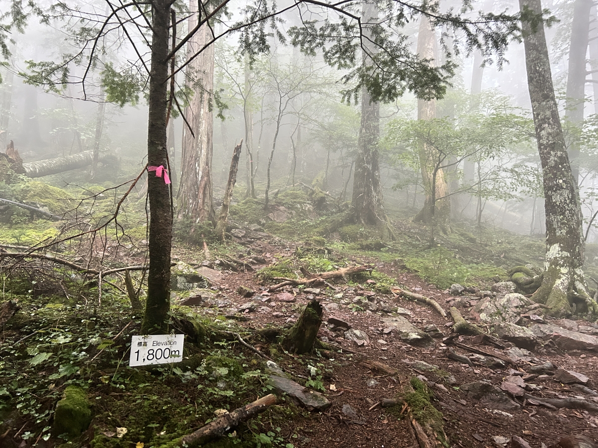 雲の中の山歩き